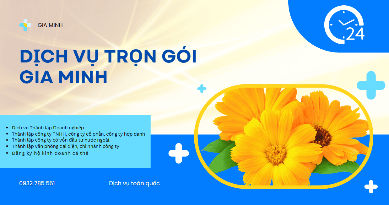 Cách xin giấy phép kinh doanh dịch vụ vận chuyển quốc tế 9 Phương tiện vận tải đạt chuẩn để kinh doanh quốc tế