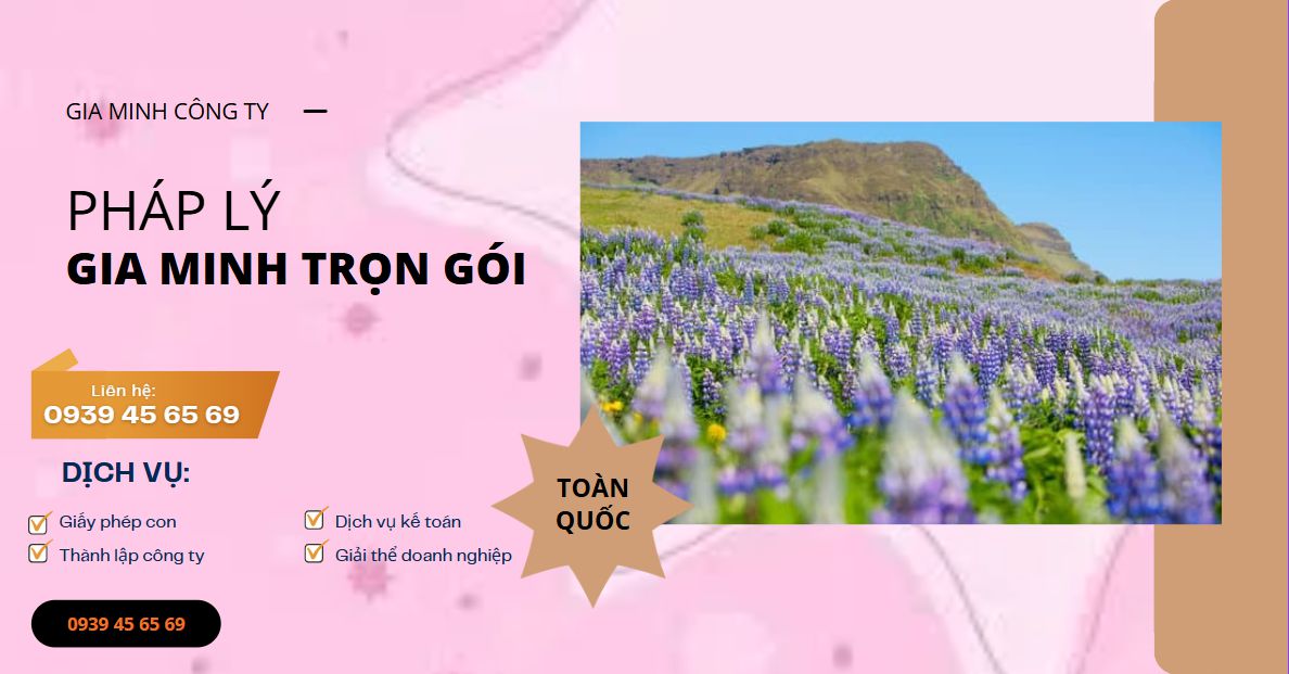 Cách tra cứu biển số xe điện sau khi đăng ký 13 Giao diện website tra cứu biển số xe điện