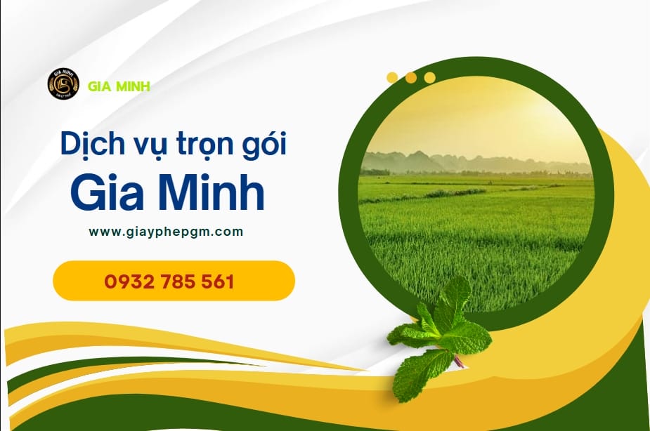 Dịch vụ thành lập doanh nghiệp nhanh trong 3 ngày tại TP.HCM 10 Giấy phép đăng ký kinh doanh nhanh