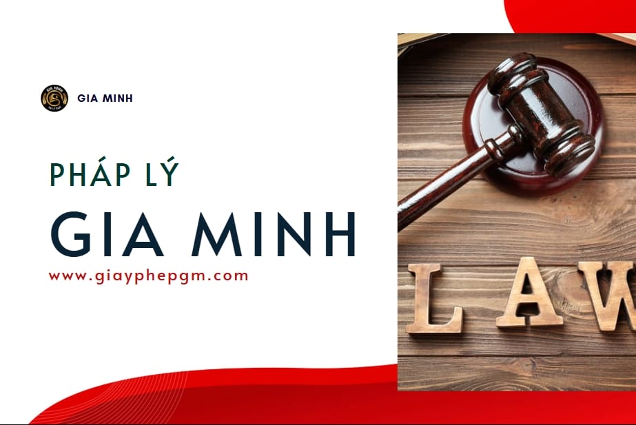 Hồ sơ thành lập công ty tại Hải Phòng cần những gì 12 Hồ sơ thành lập công ty TNHH 1 thành viên tại Hải Phòng