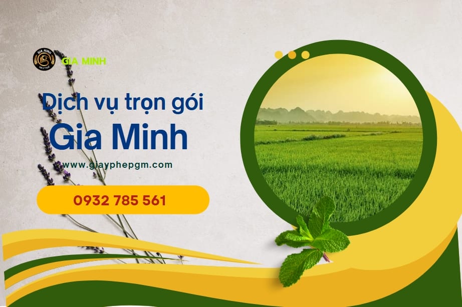 Thành lập công ty TNHH 2 thành viên có vốn đầu tư nước ngoài 8 Văn phòng đại diện công ty TNHH có vốn đầu tư nước ngoài tại Hà Nội