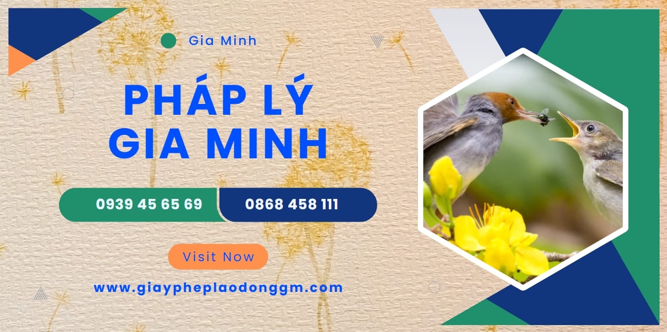 Chi phí khám sức khỏe tập huấn bò viên