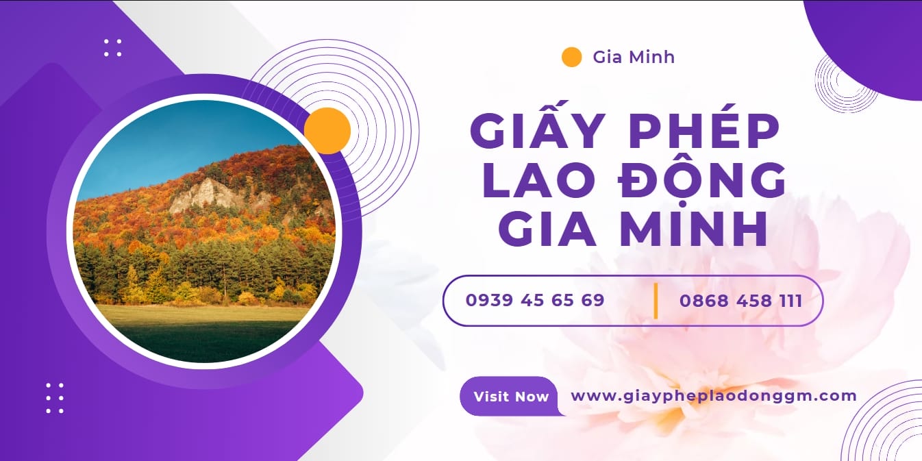 Dịch vụ làm chứng chỉ hành nghề dược Đà Nẵng – Nhanh chóng, Uy tín 4 Quy trình xin chứng chỉ hành nghề dược