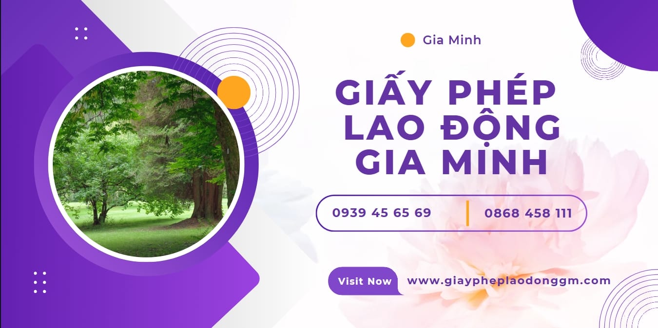 Sở Tư pháp Đà Nẵng cấp phiếu lý lịch tư pháp