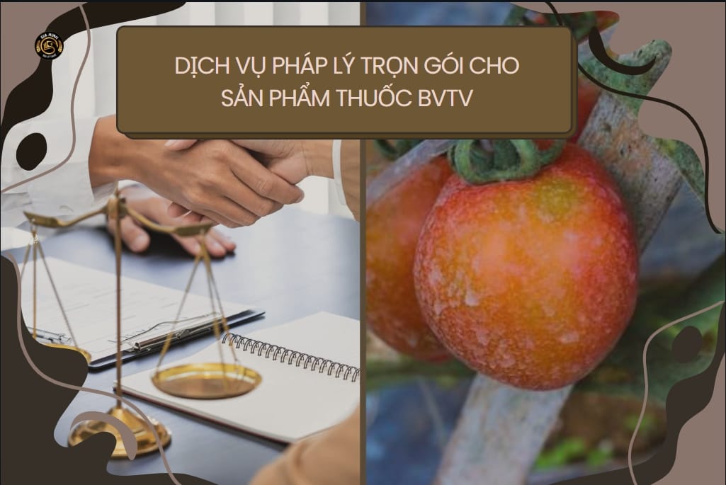 Hồ sơ nghiệm thu PCCC nhà máy thuốc bảo vệ thực vật – Thủ tục, biểu mẫu, yêu cầu năm 2025