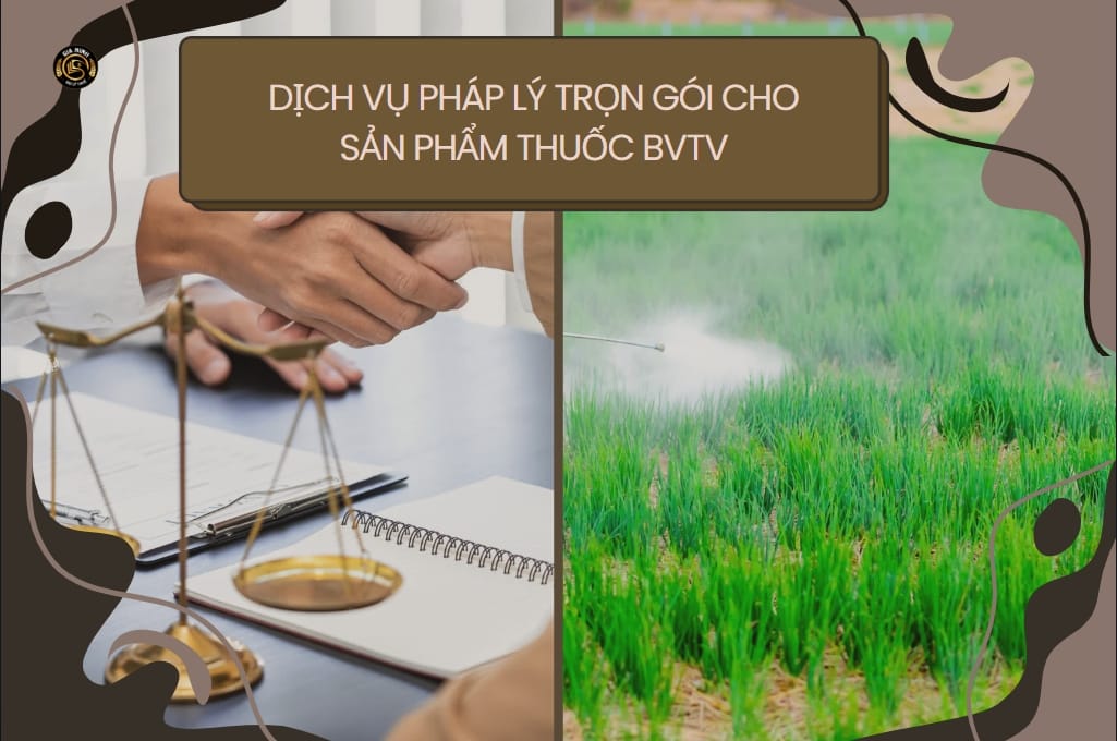 Quy trình xử lý nước thải nhà máy sản xuất thuốc bảo vệ thực vật