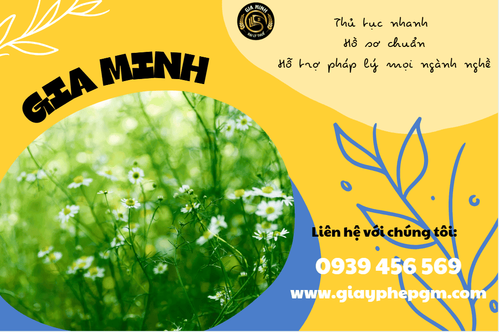 Mở xưởng gia công vàng tại Quảng Ninh cần gì? Điều kiện & hồ sơ chi tiết 2026